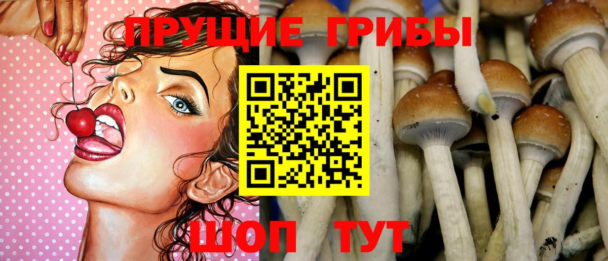 Псилоцибиновые грибы ЛСД  Вход с VPN  Богородицк 